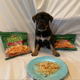 Puppy sitting in front of plate of hash browns